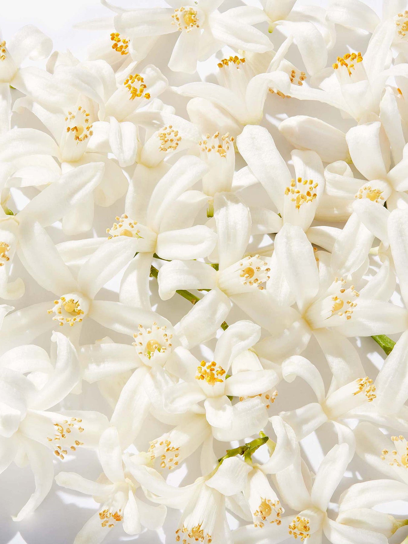 My Happy Baby Bouquet