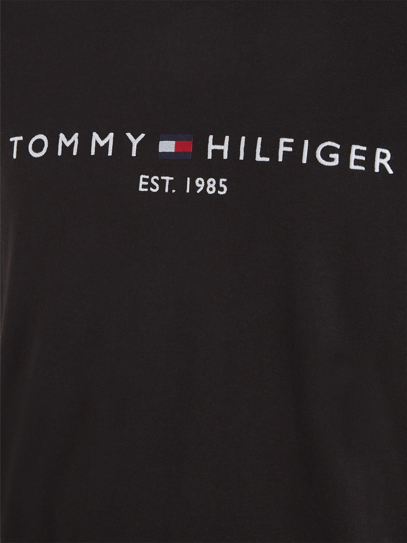 Core Tommy Logo T-Shirt