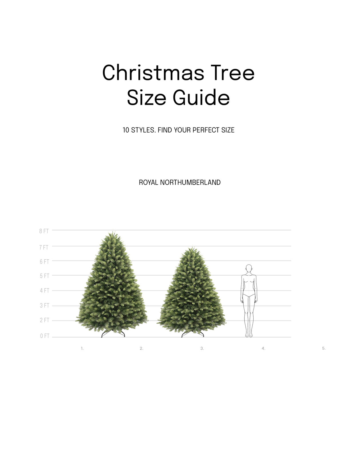 Royal Northumberland Fir Christmas Tree