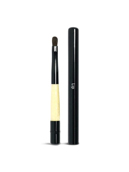 Retractable Lip Brush