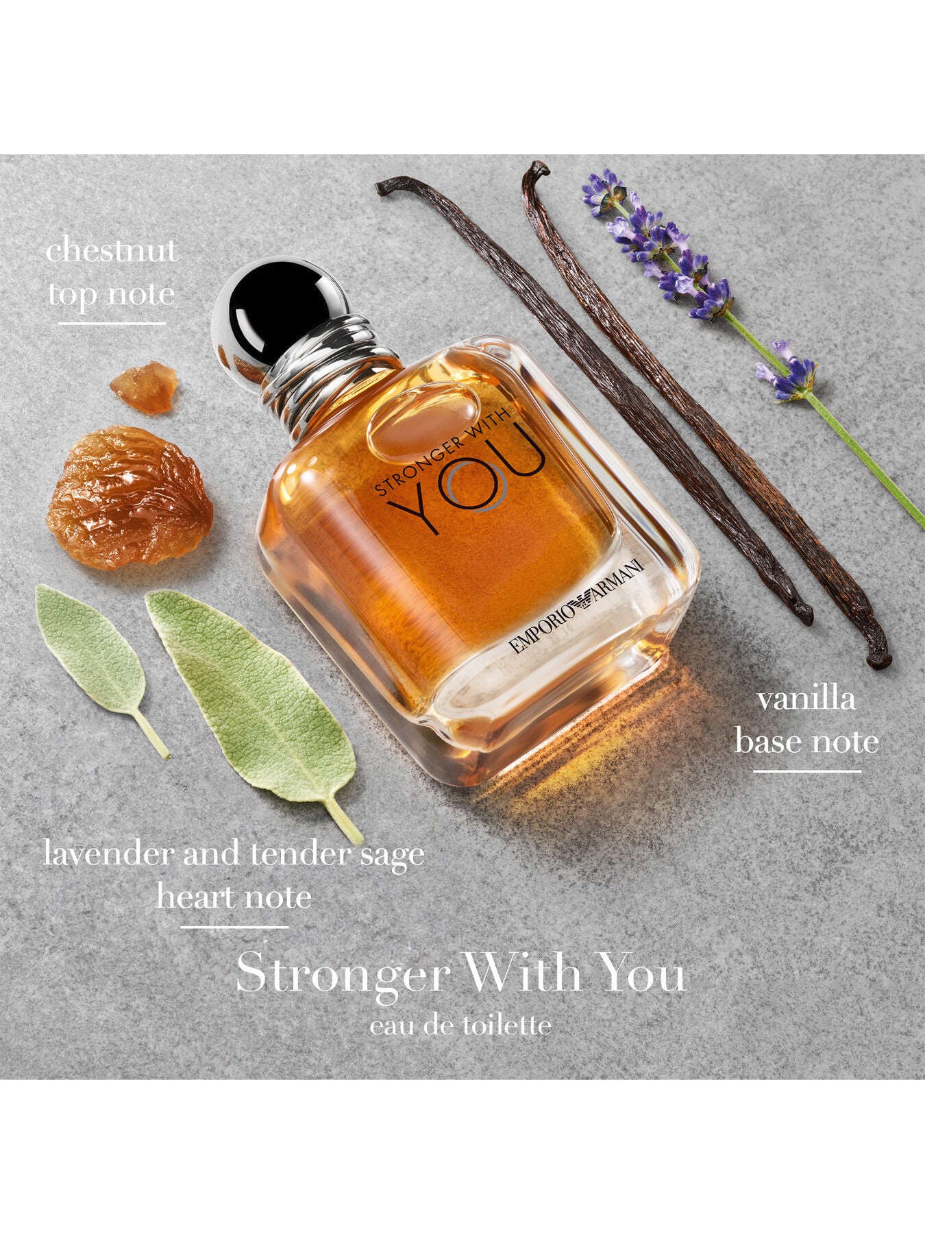 Stronger With You Eau de Toilette 100 ml