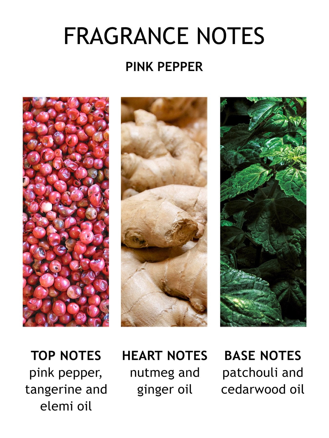 Fiery Pink Pepper Fine Liquid Hand Wash 300ml