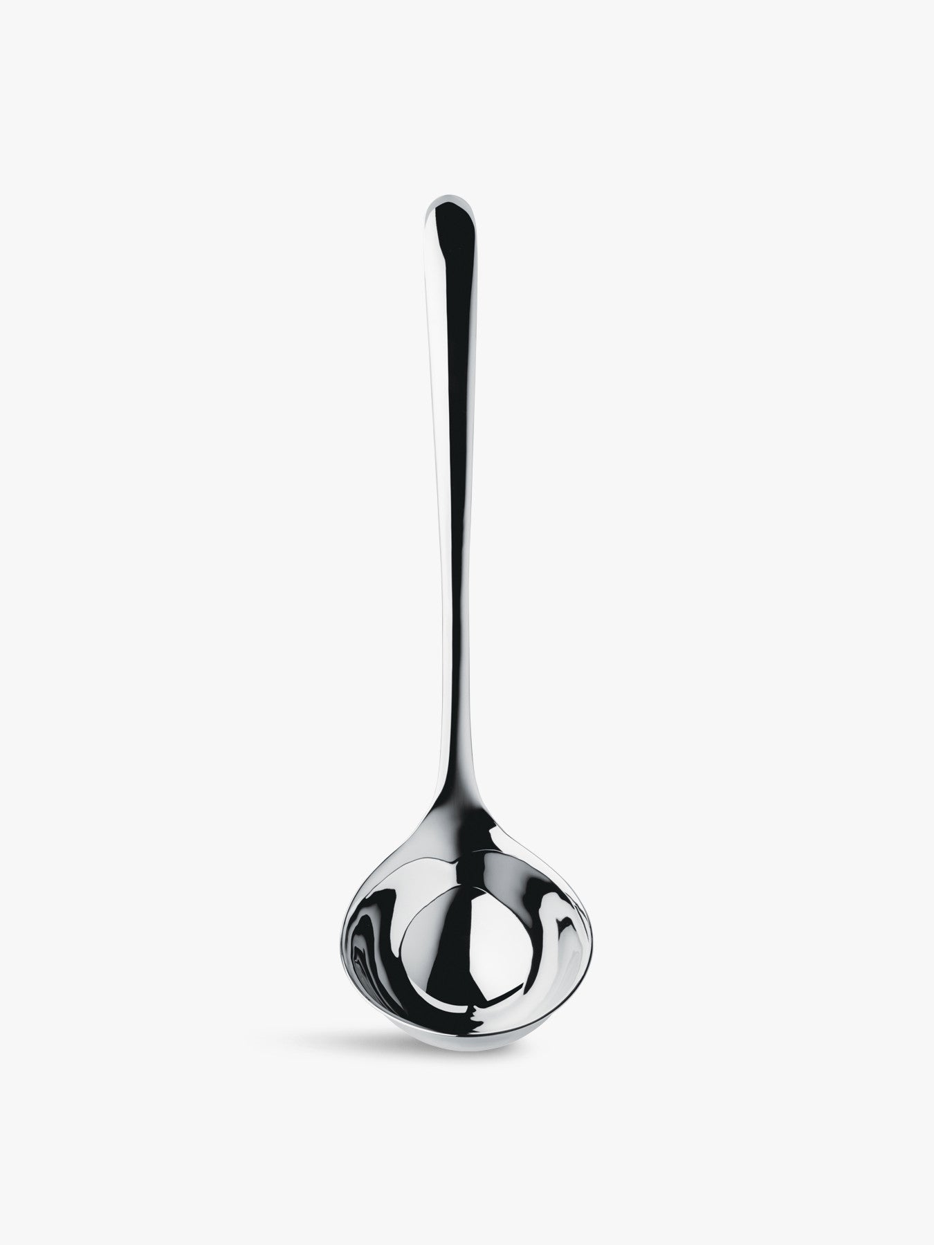 Large Signature Ladle