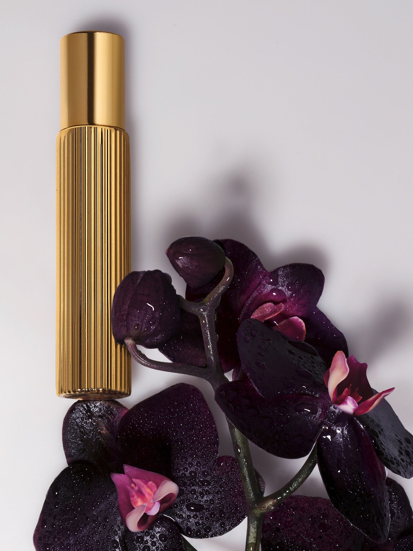 Black Orchid 10ml
