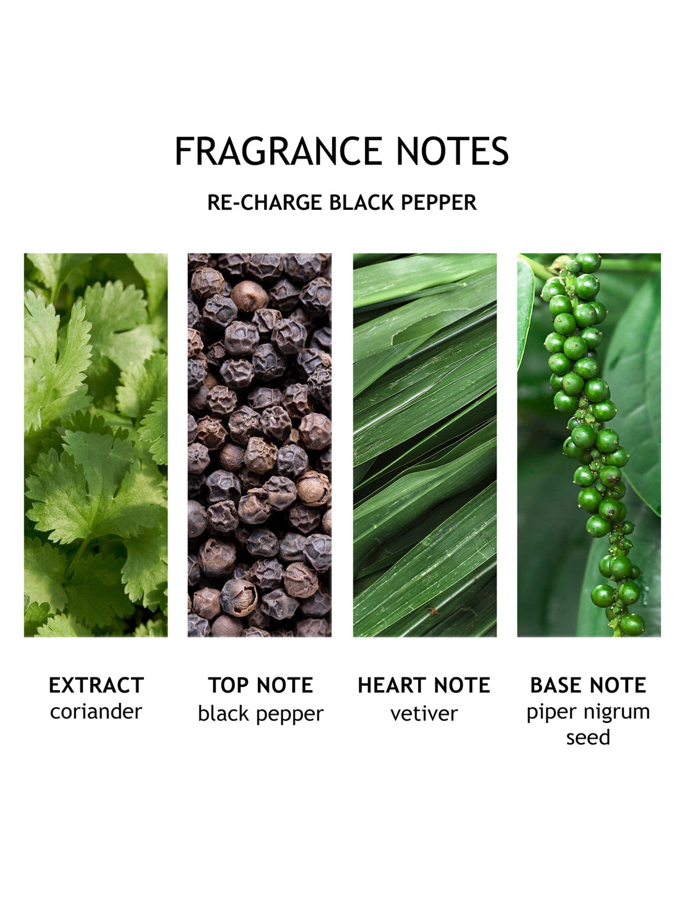 Re-charge Black Pepper Bath Shower Gel 300ml