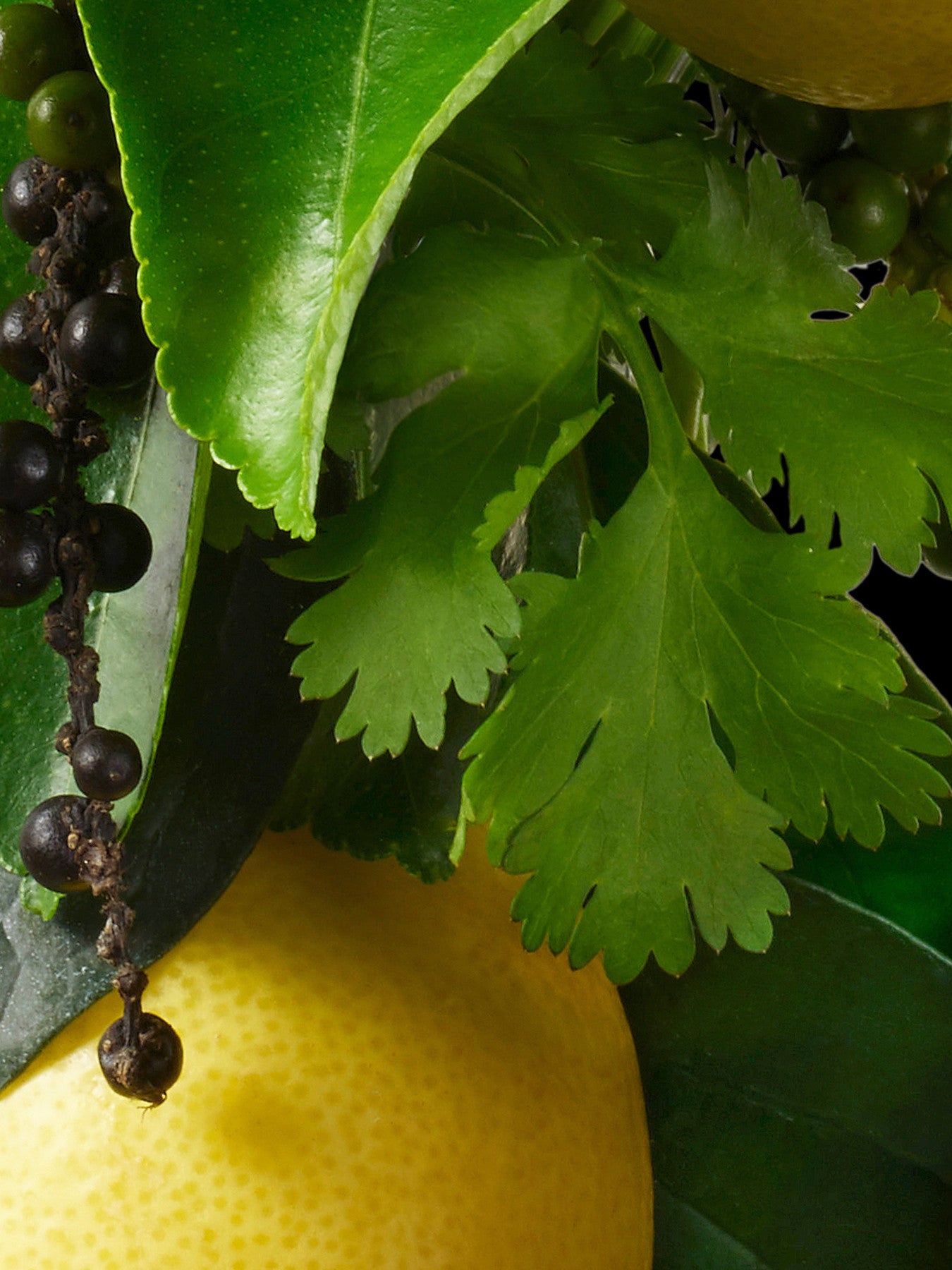 Re-charge Black Pepper Bath Shower Gel 300ml