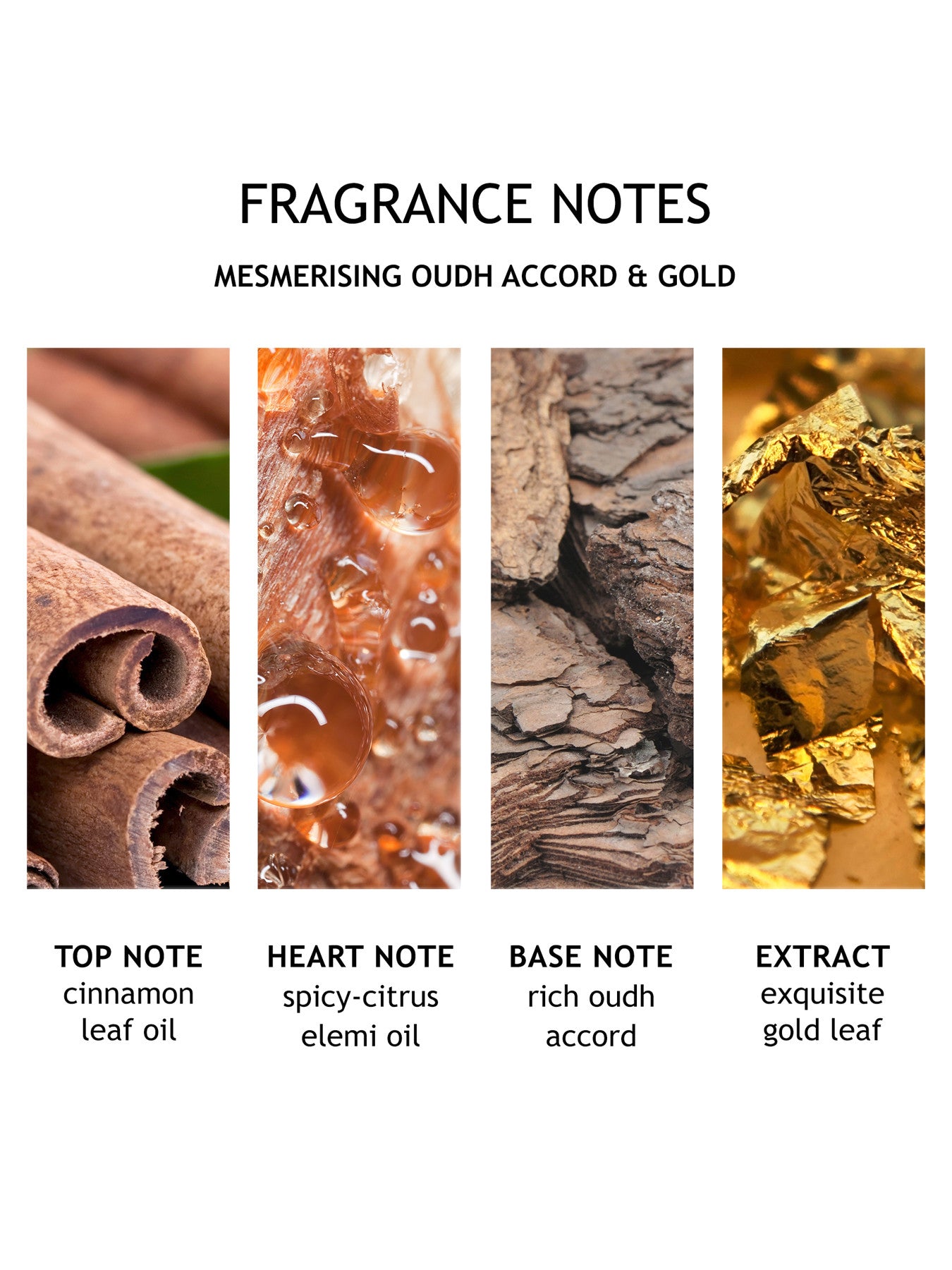 Mesmerising Oudh Accord Gold Hand Lotion 300ml