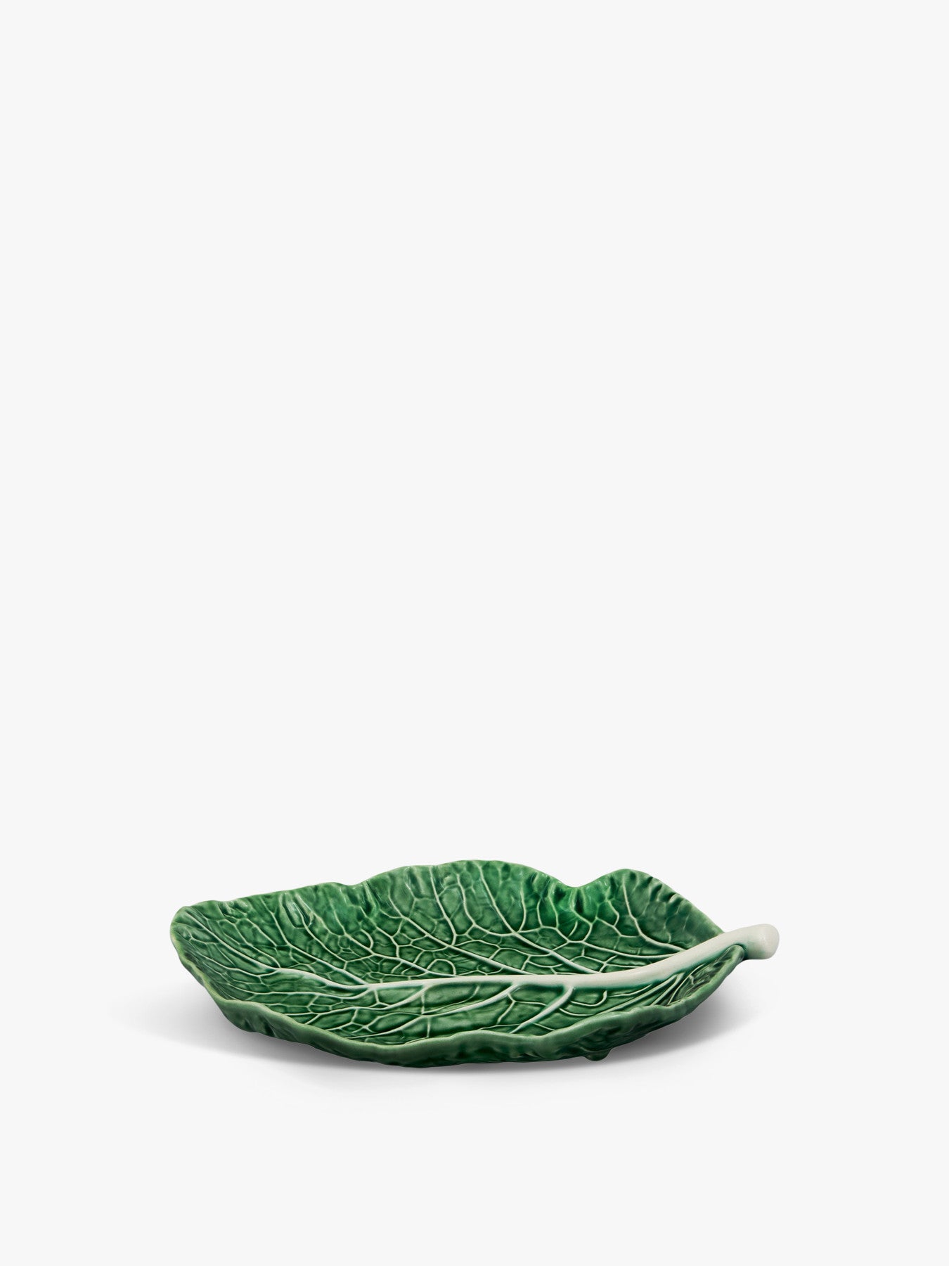Cabbage Leaf