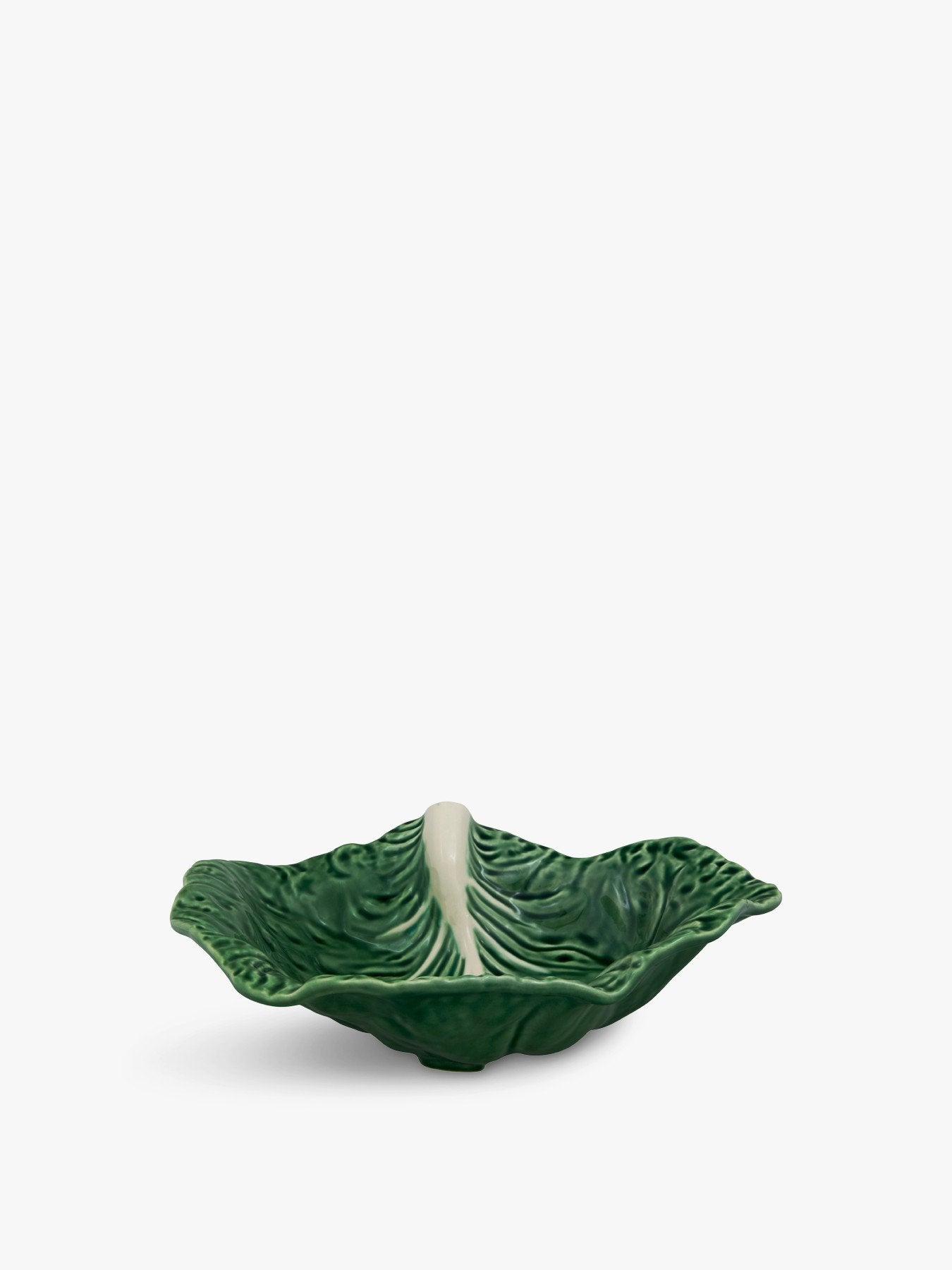 Cabbage Leaf