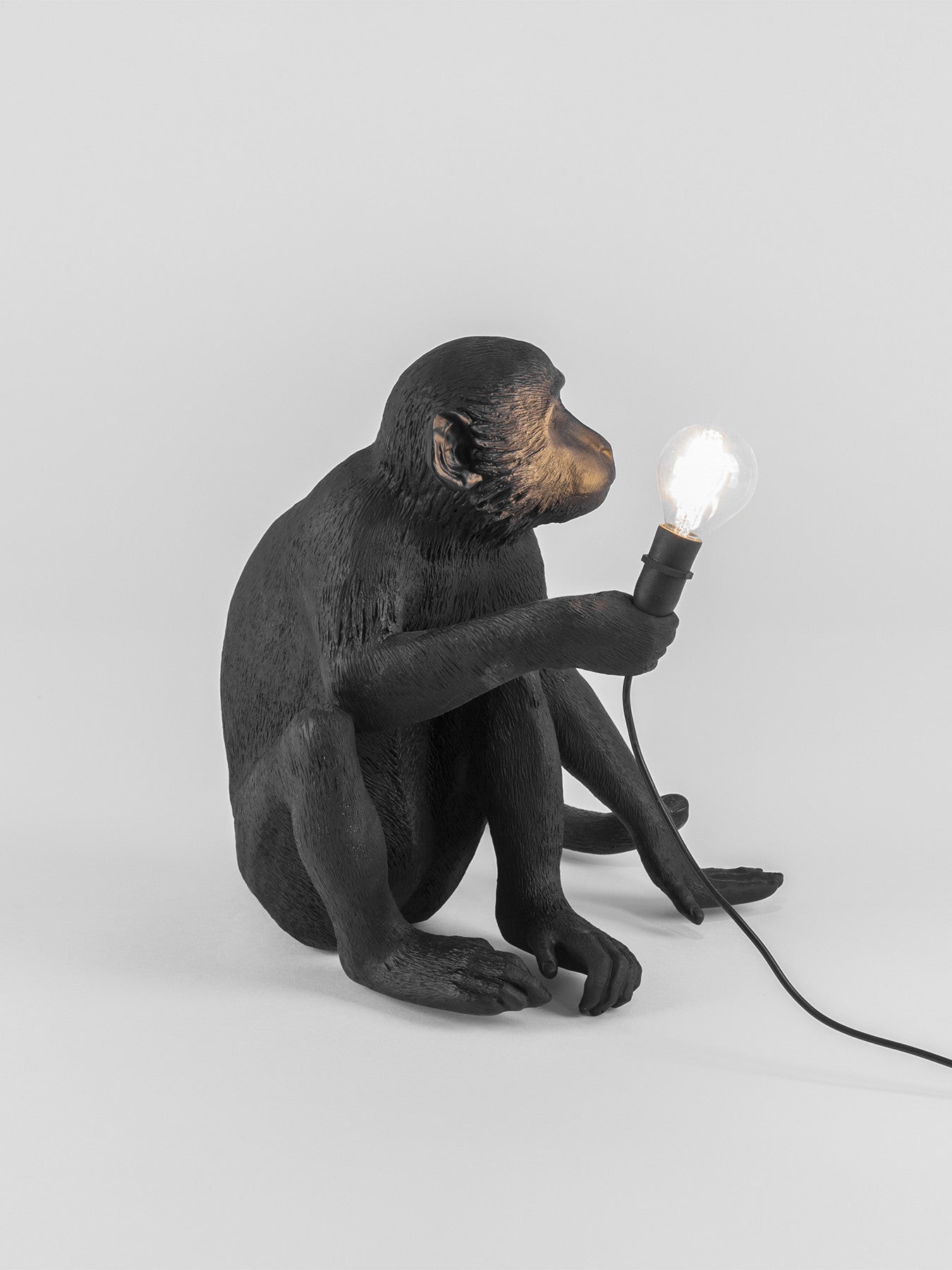 Sitting Monkey Lamp