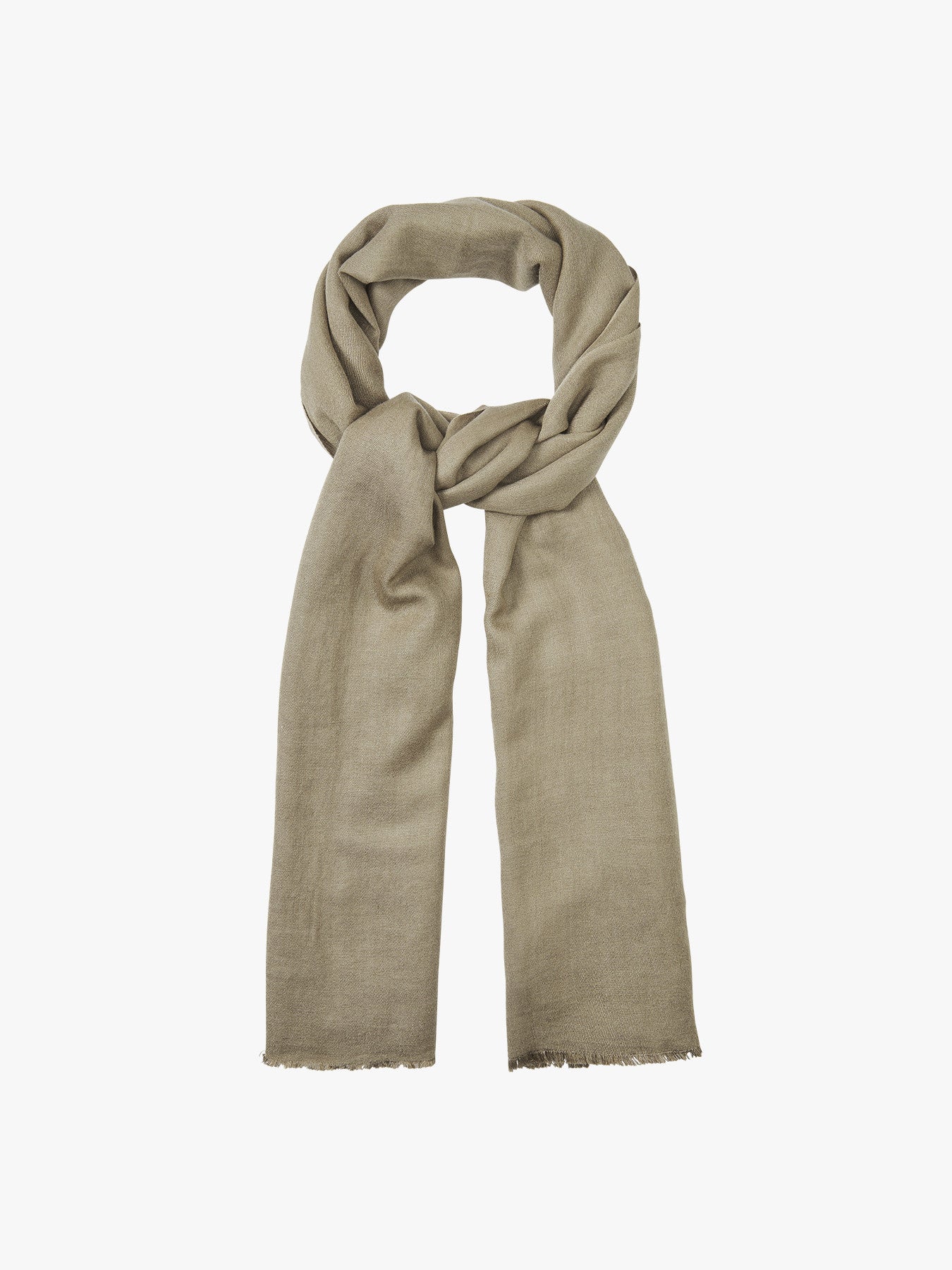 Cashmere Pashmina Stole