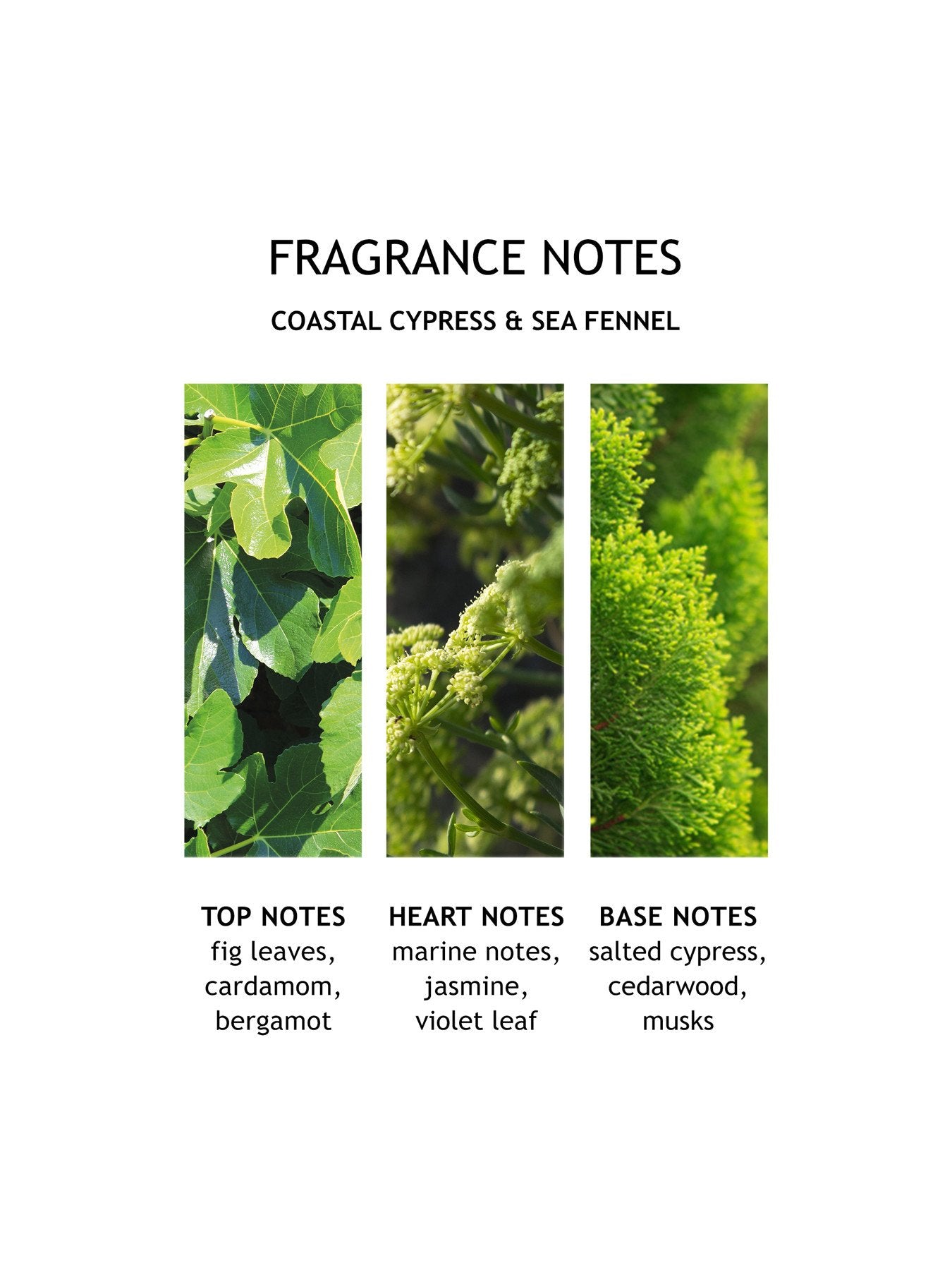 Coastal Cypress Sea Fennel Bath Salts 300g