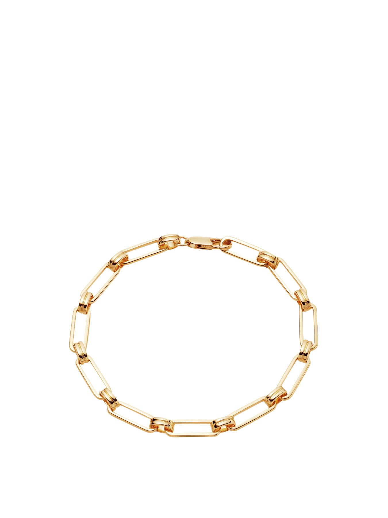 Aegis Chain Bracelet