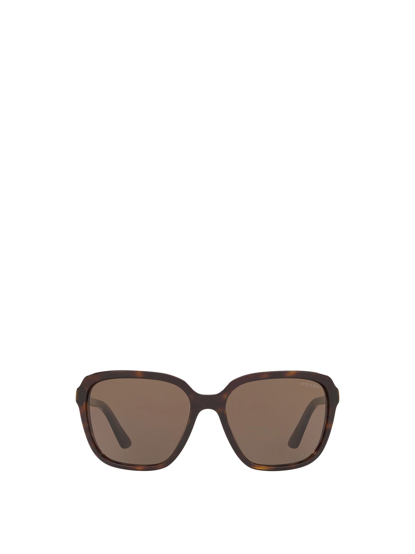 Square Acetate Sunglasses
