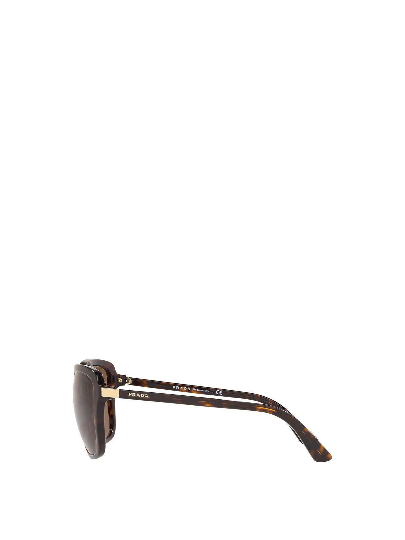 Square Acetate Sunglasses