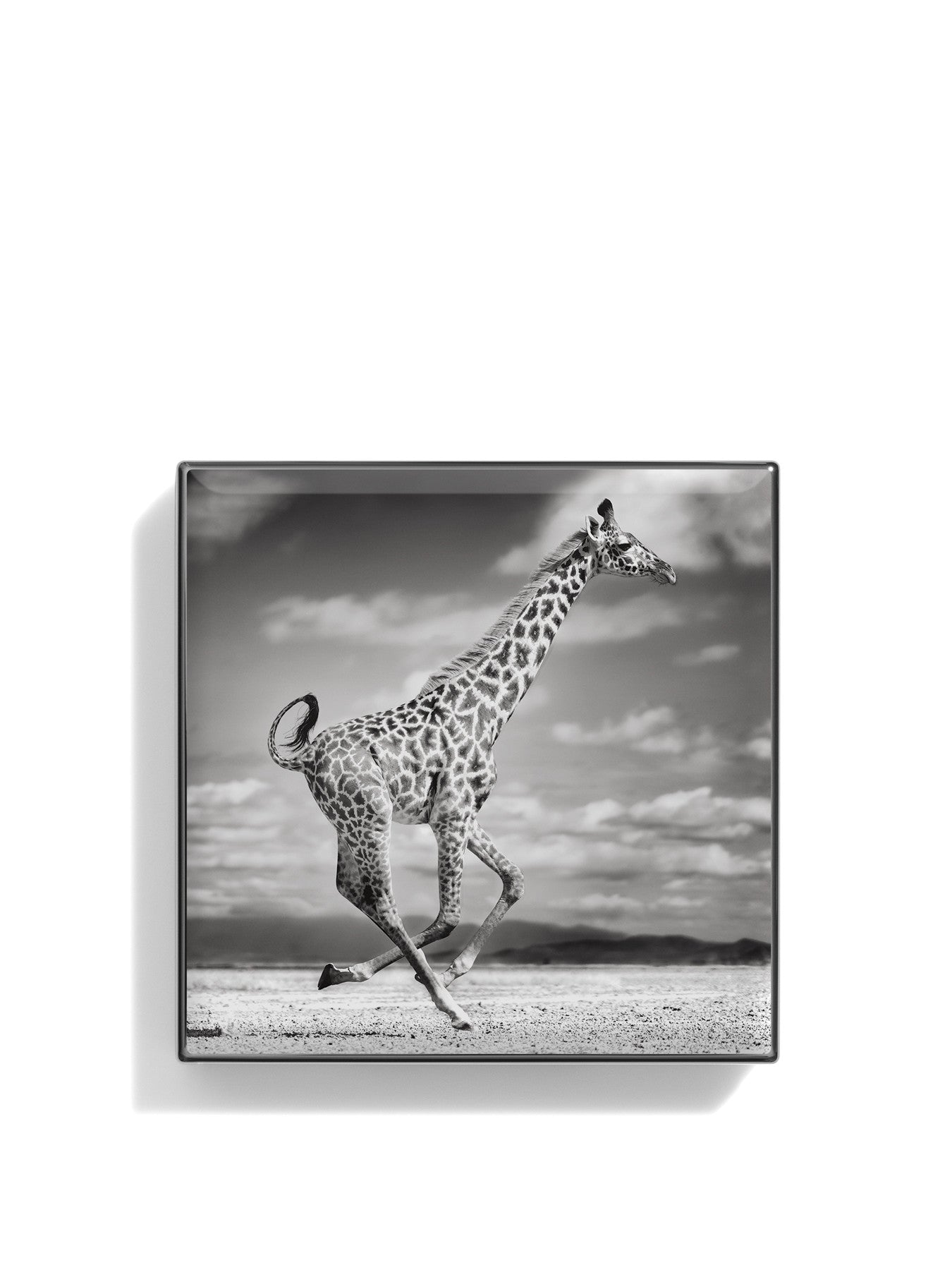 Giraffe Luminescent Eye Shade