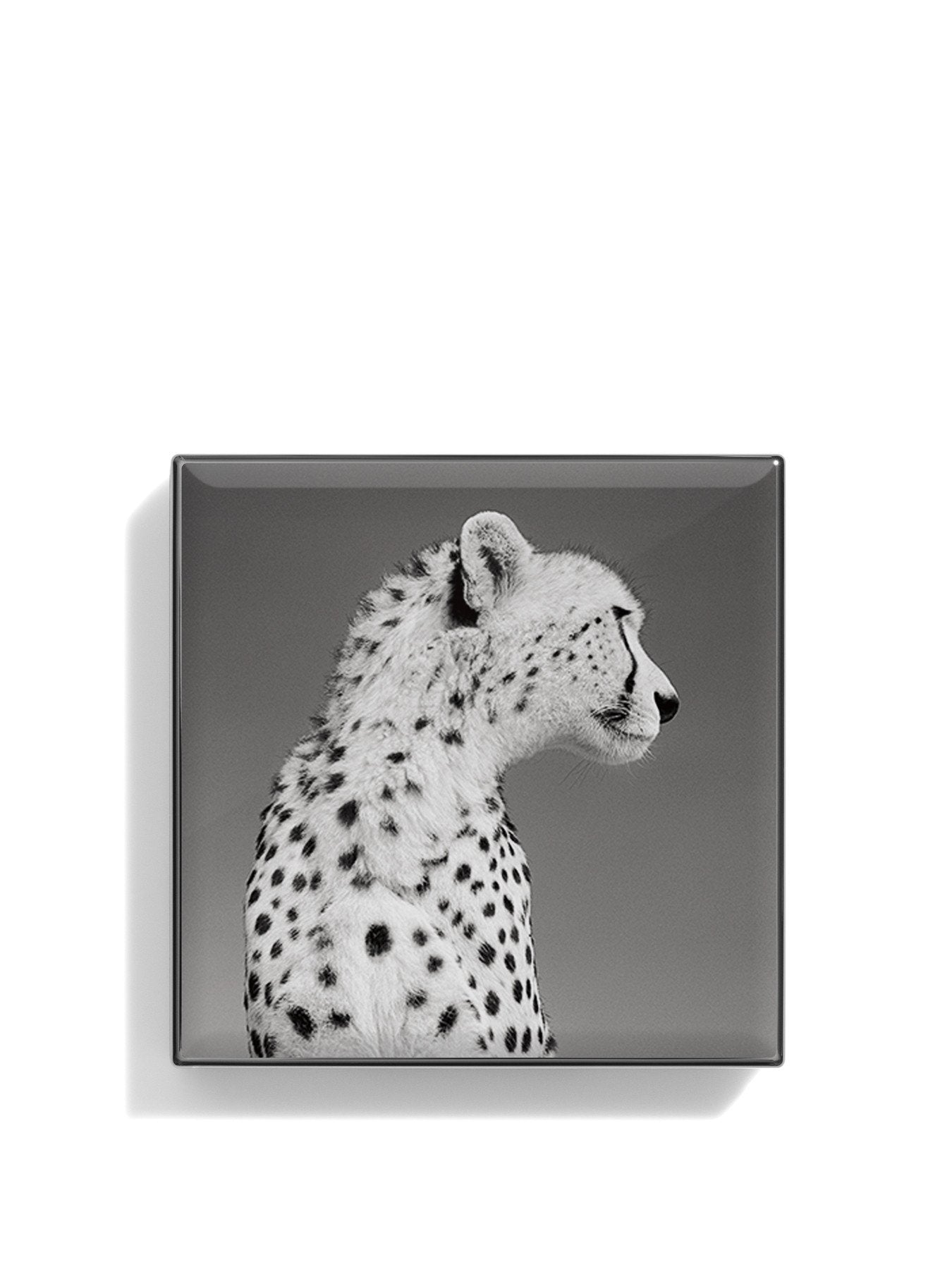 Cheetah Luminescent Eye Shade