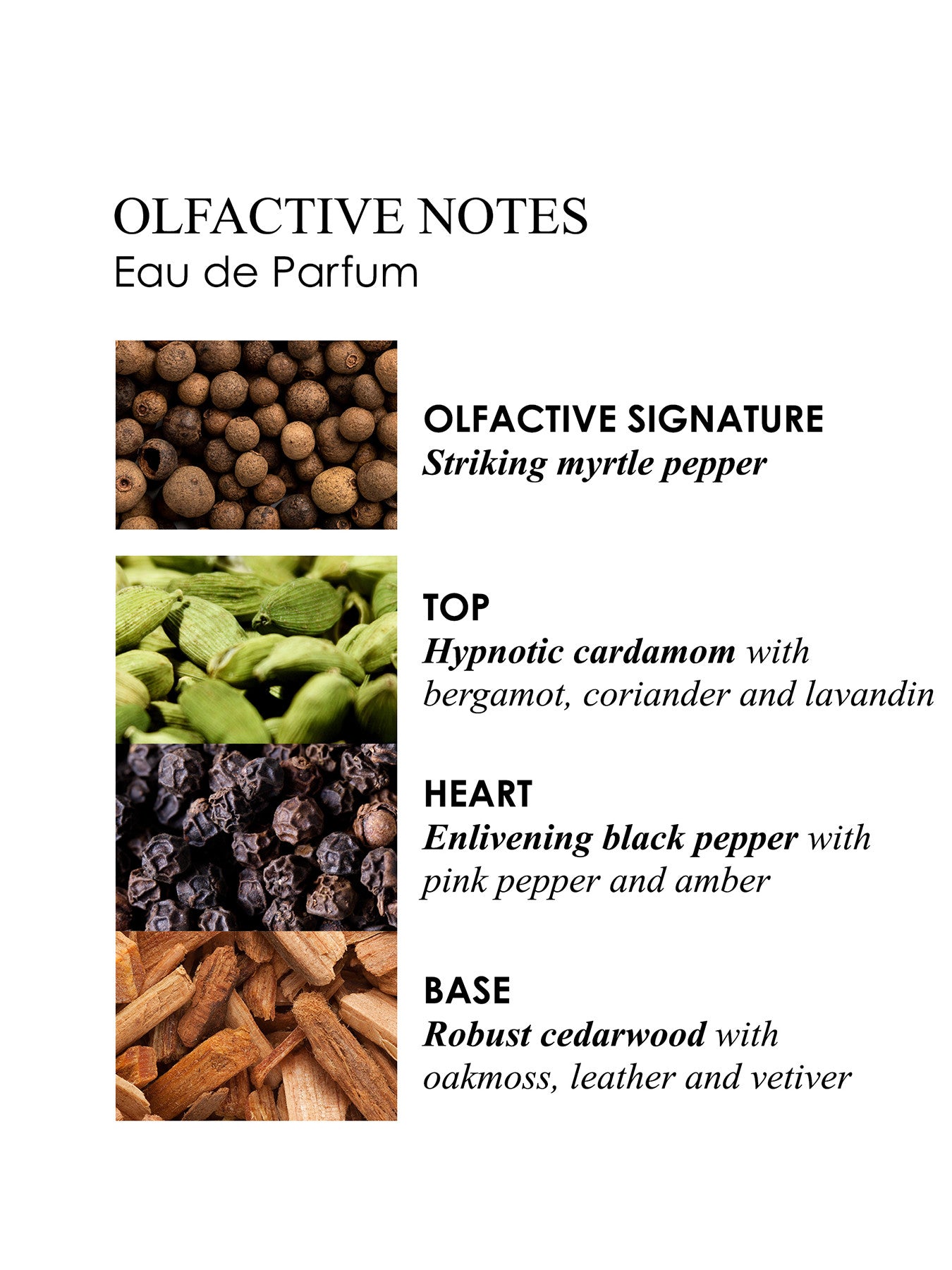 Re-charge Black Pepper Eau de Parfum 100 ml