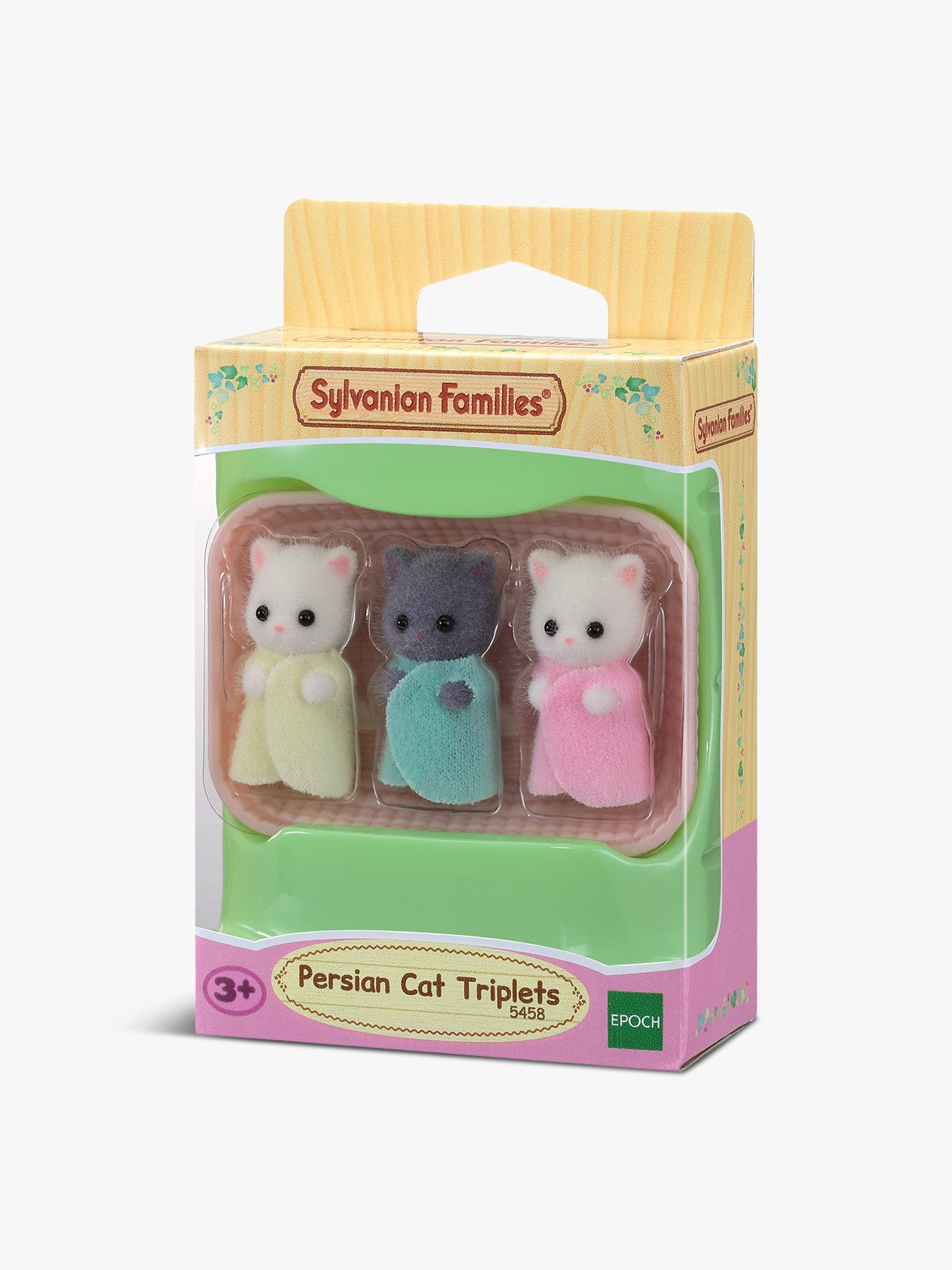 Persian Cat Triplets