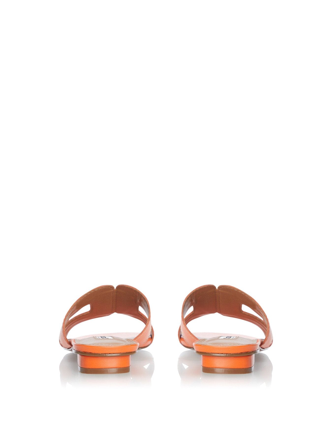 LOUPE