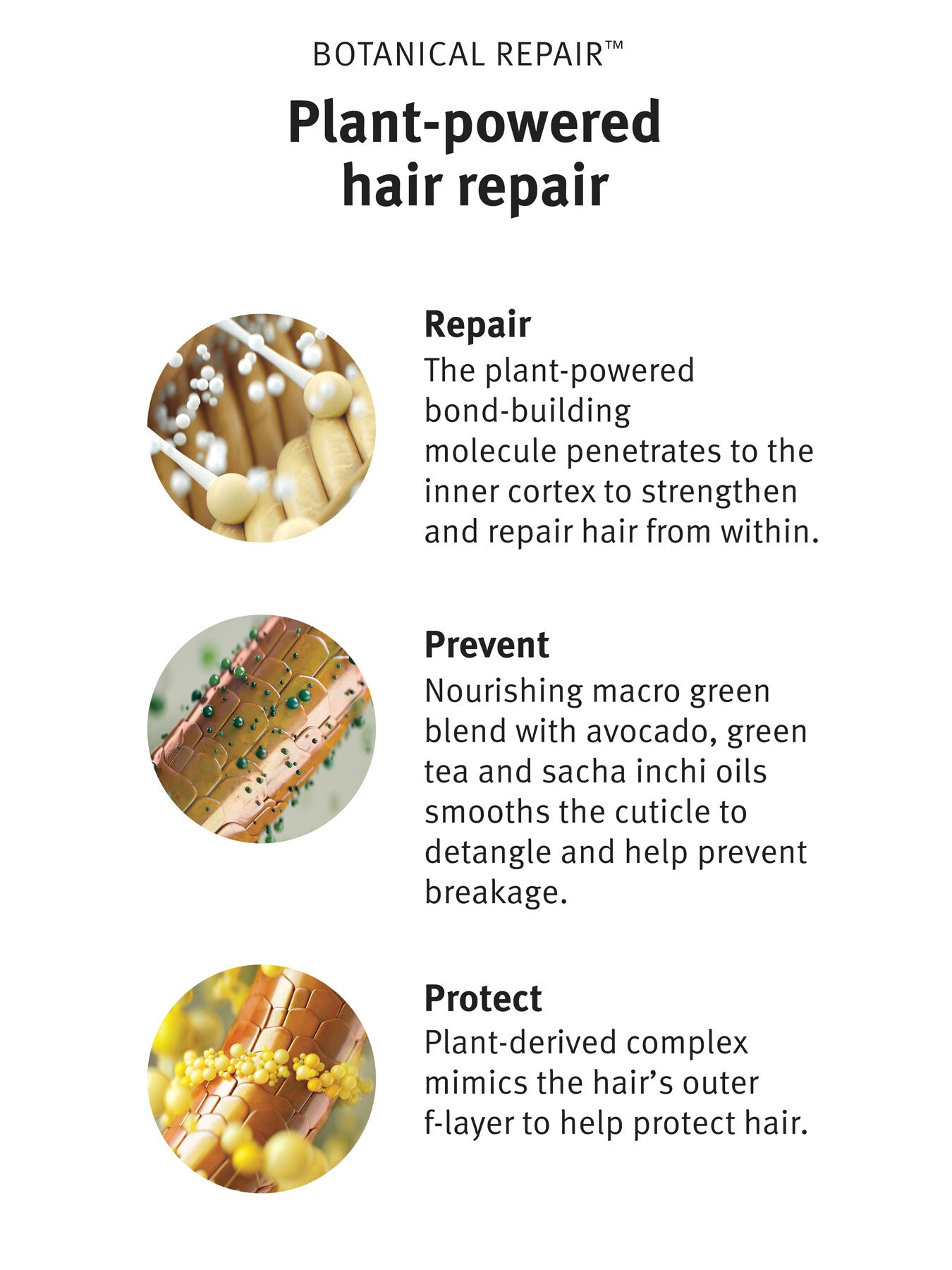 Botanical Repair Intensive Strengthening Masque Rich 200ml