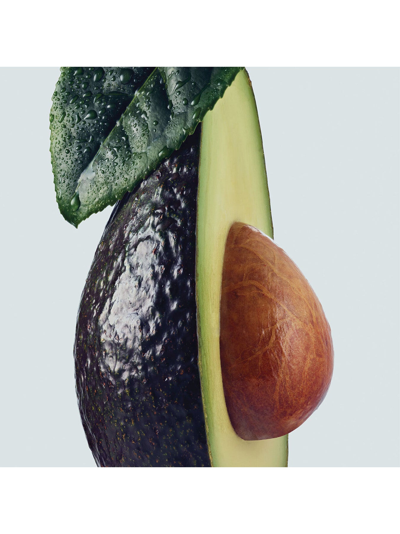 Botanical Bond Repair Shampoo 200ml