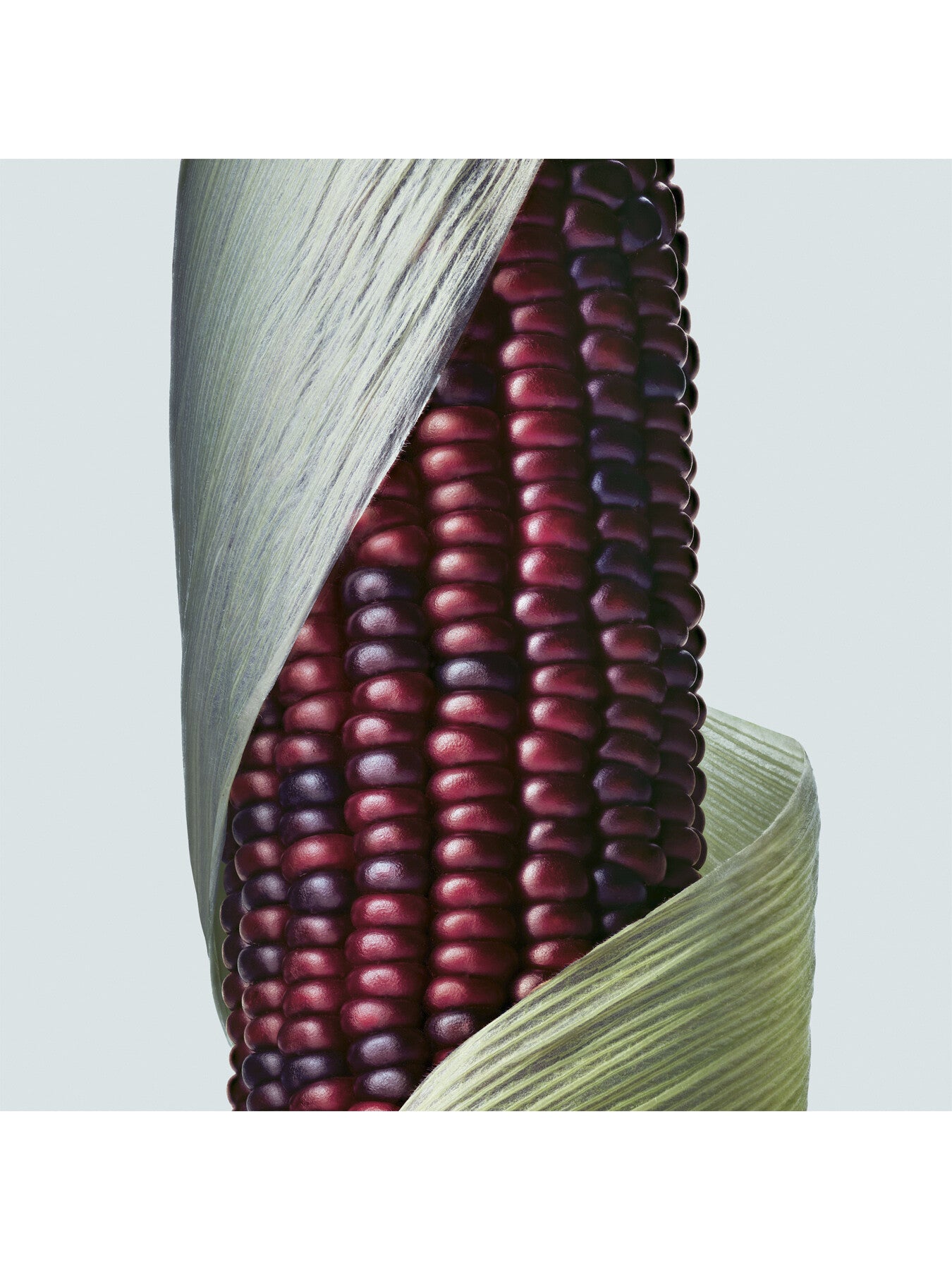 Botanical Bond Repair Shampoo 200ml