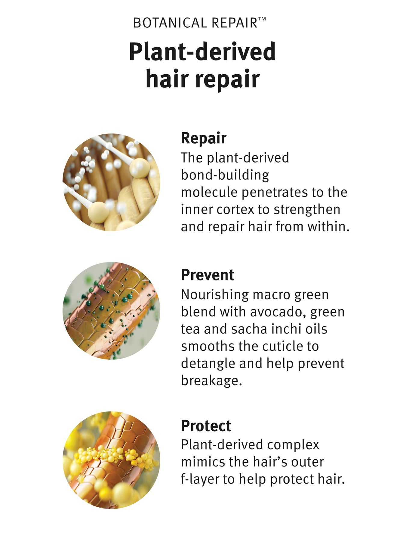 Botanical Repair™ Strengthening Overnight Serum