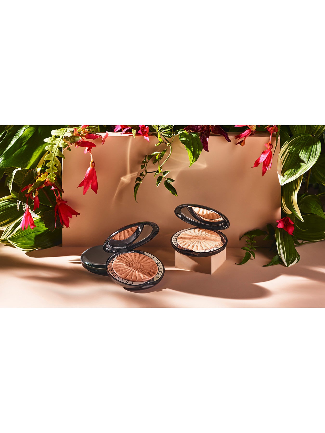 Perfect Blur Finishing Powder Limited Edition
