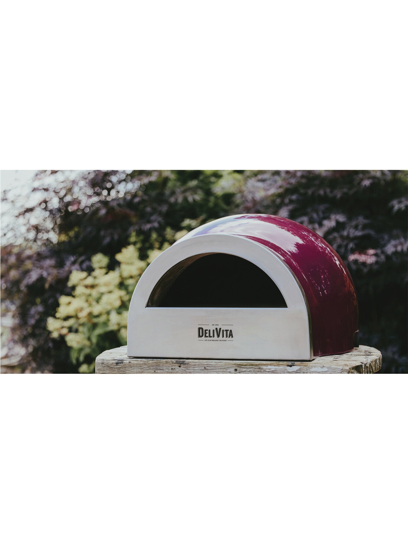 Delivita Oven Hot