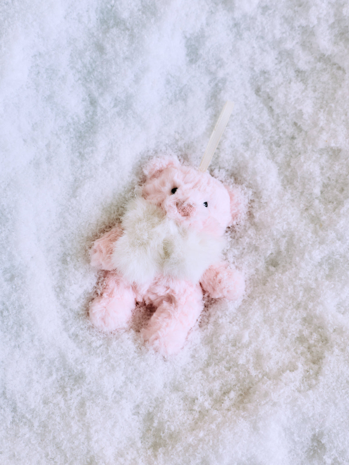 Leola Bear Winter Warmer Decoration