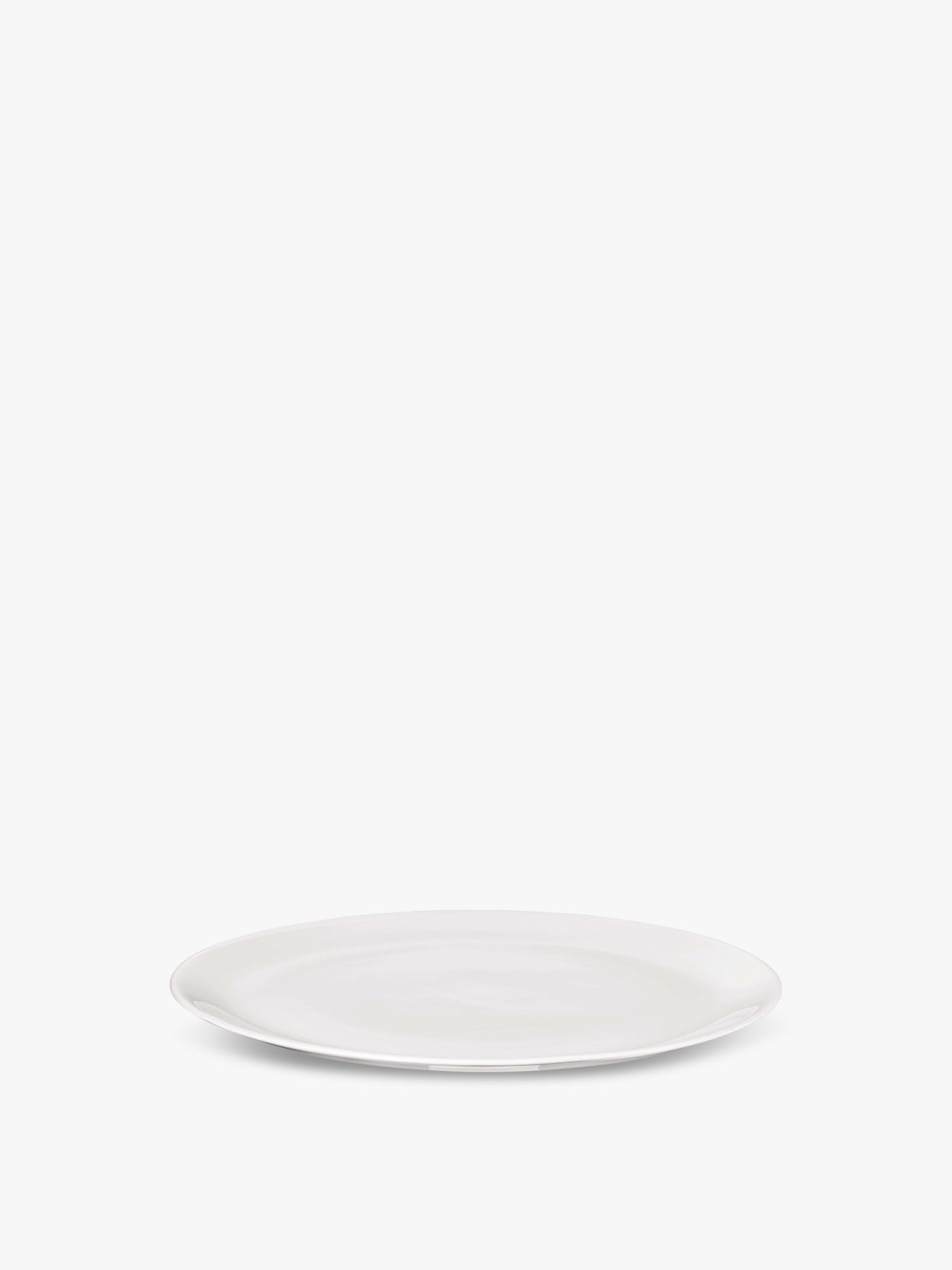 Dinner Plate