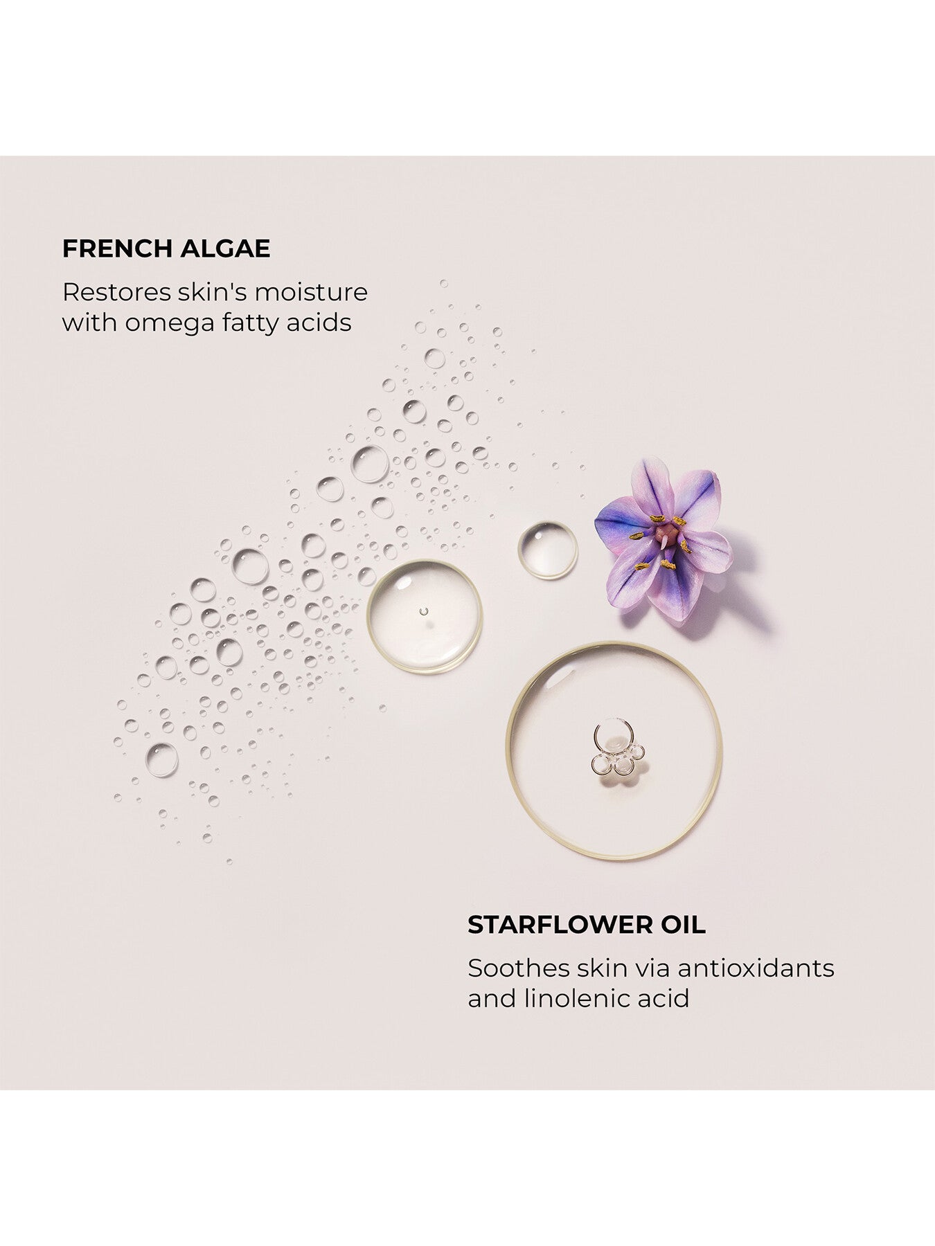 Serum Body Cream - Ambre Vanille 200ml