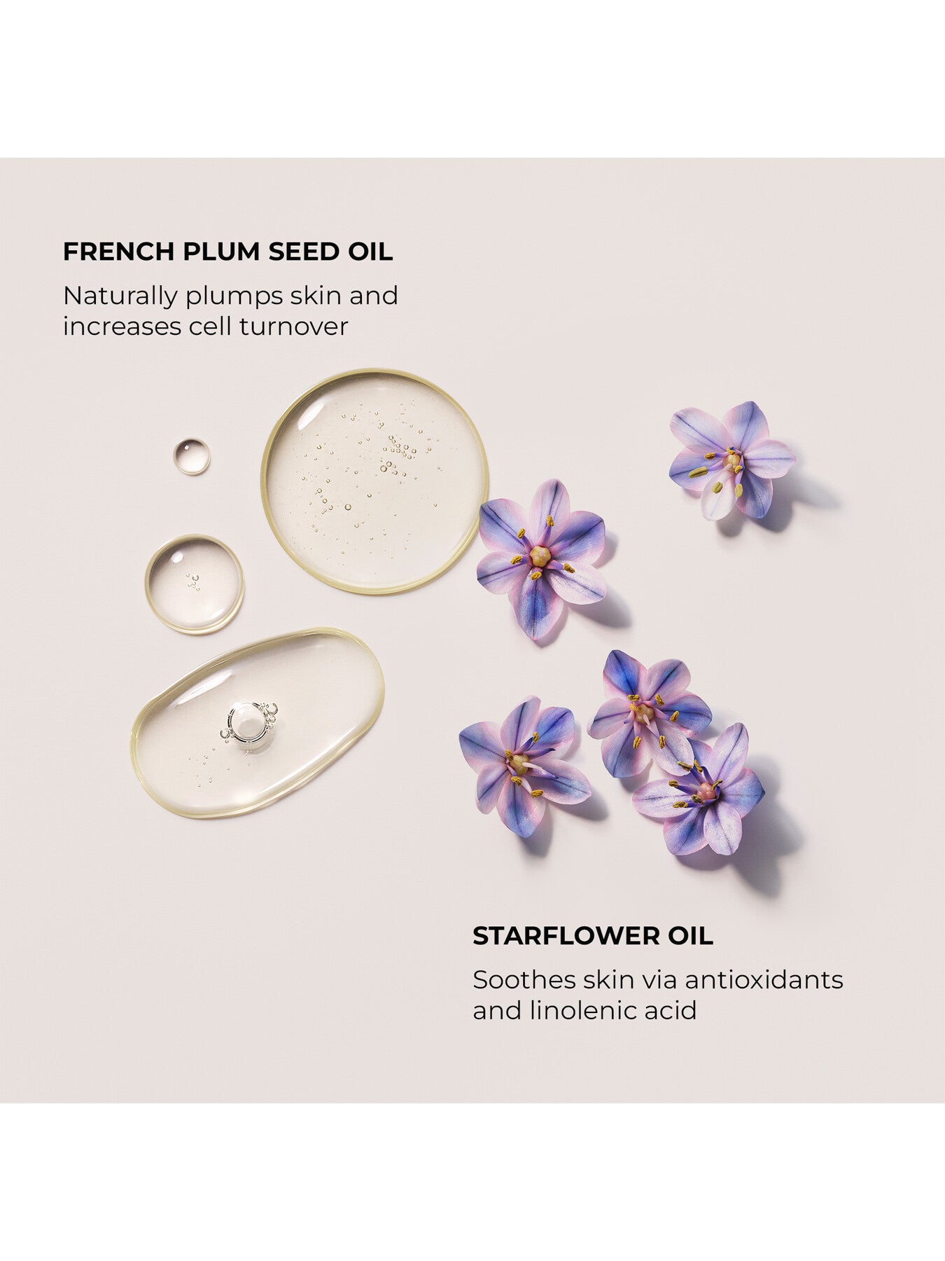 Bath Body Oil - Ambre Vanille