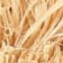 BEIGE OTHER