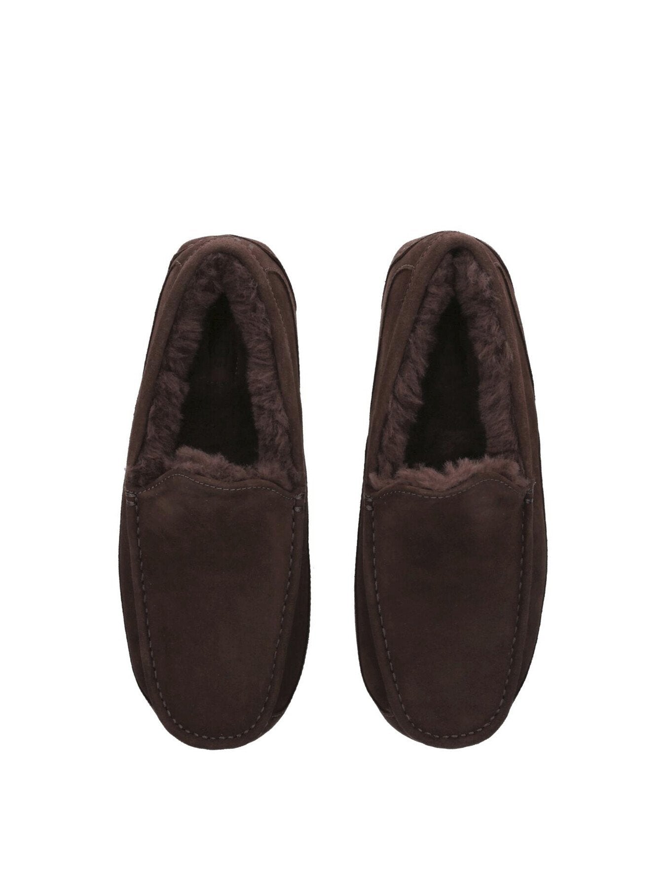 Ascot Suede Slippers Brown