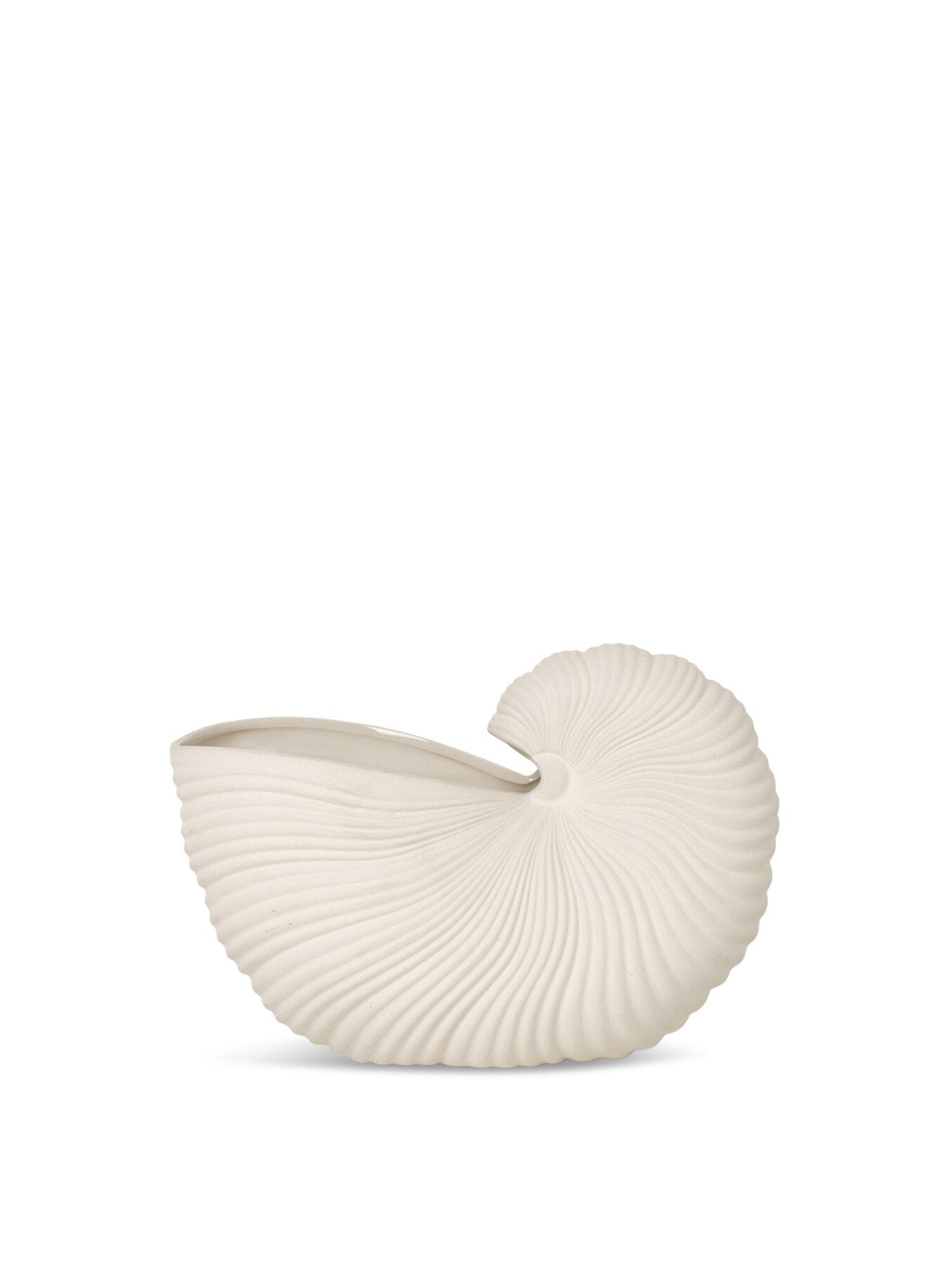 Shell Pot