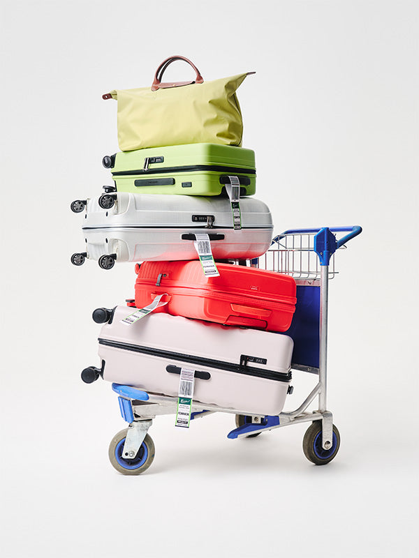 Luggage