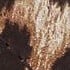BROWN OTHER