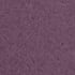 Purple - Iris