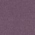 Purple - Iris