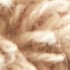 Beige - Dune