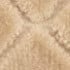 Beige - Dune
