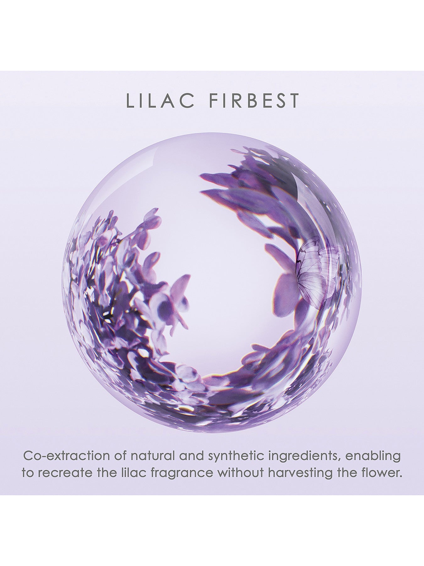 A Drop d'Issey Eau de Parfum 50ml