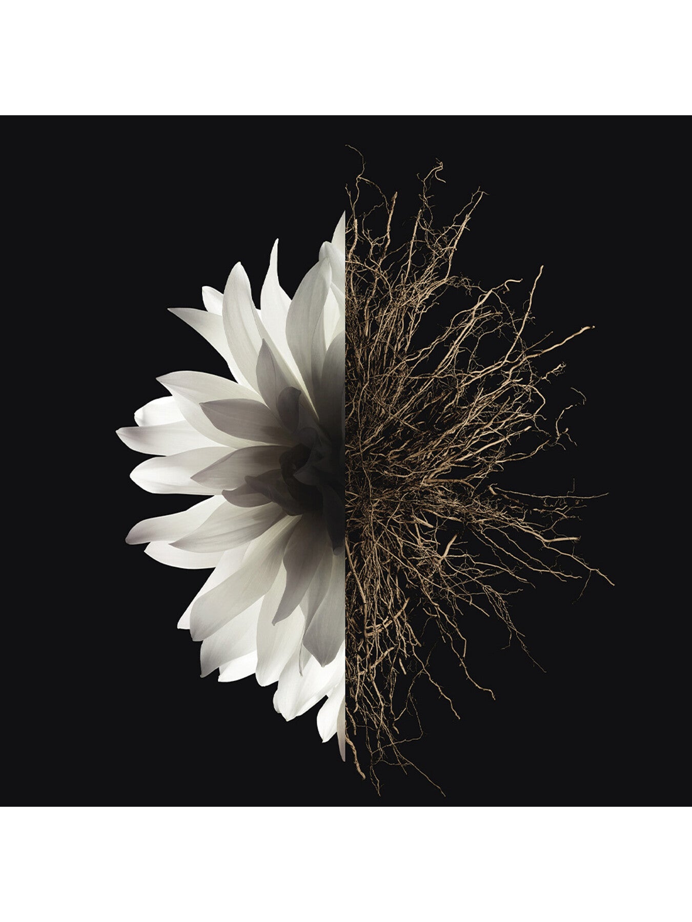 LInterdit Eau de Parfum 50ml