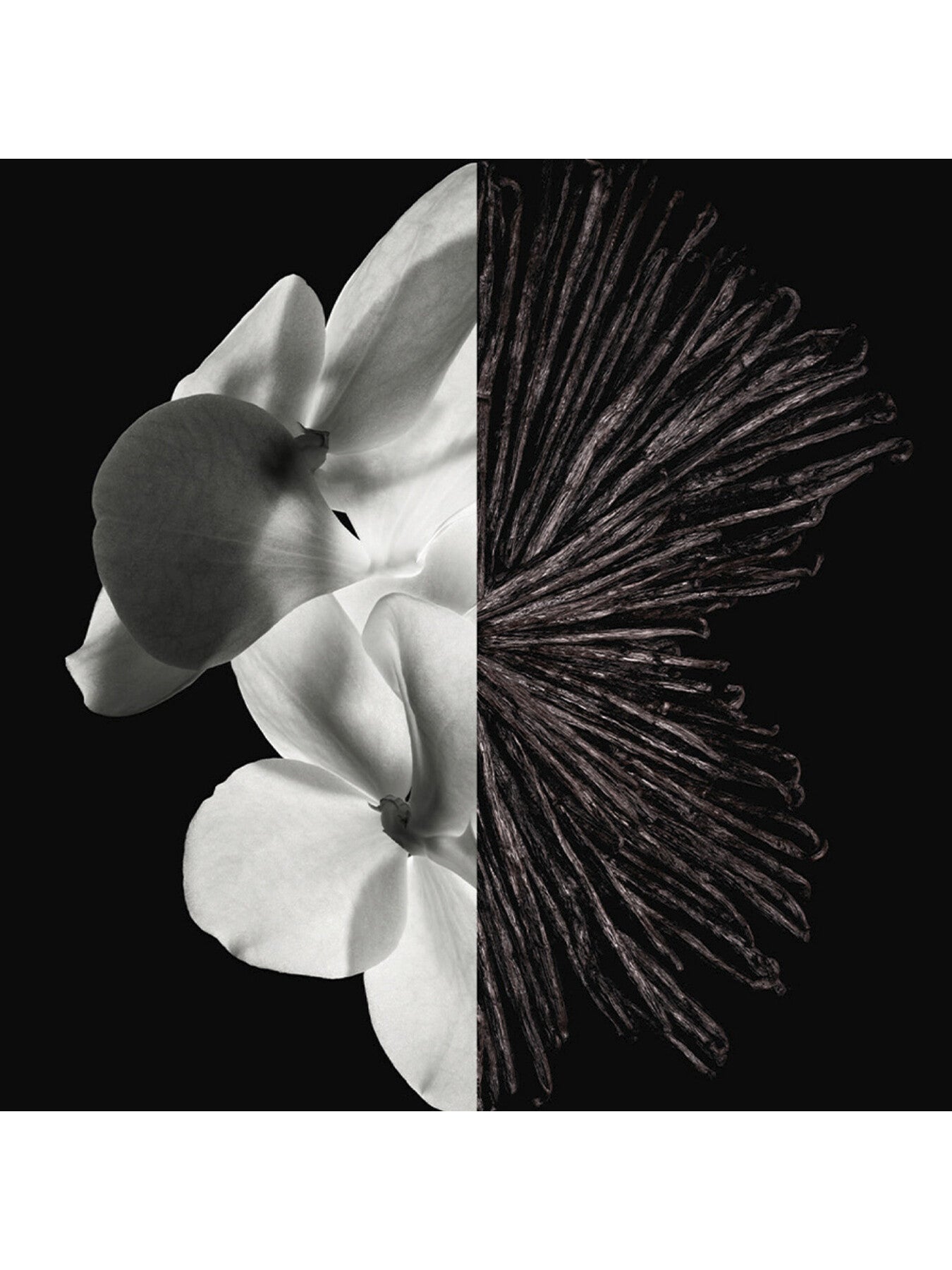 Gentleman Eau de Parfum 60ml