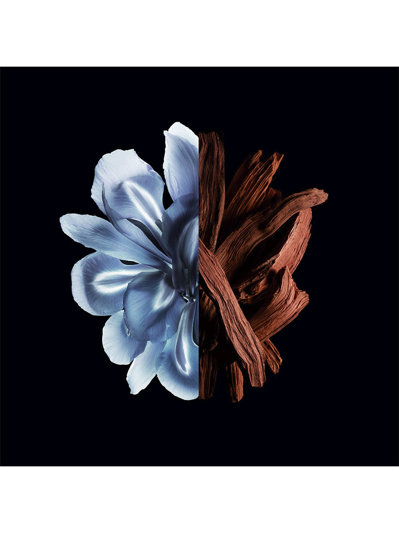 Gentleman 22 Eau de Parfum 60ml