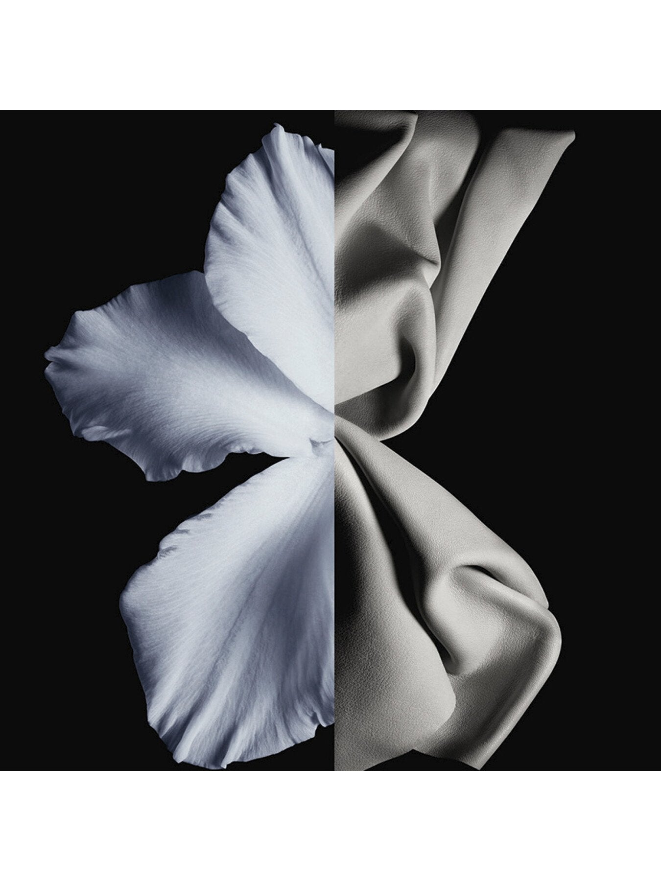 Gentleman Eau de Toilette 100ml Relift