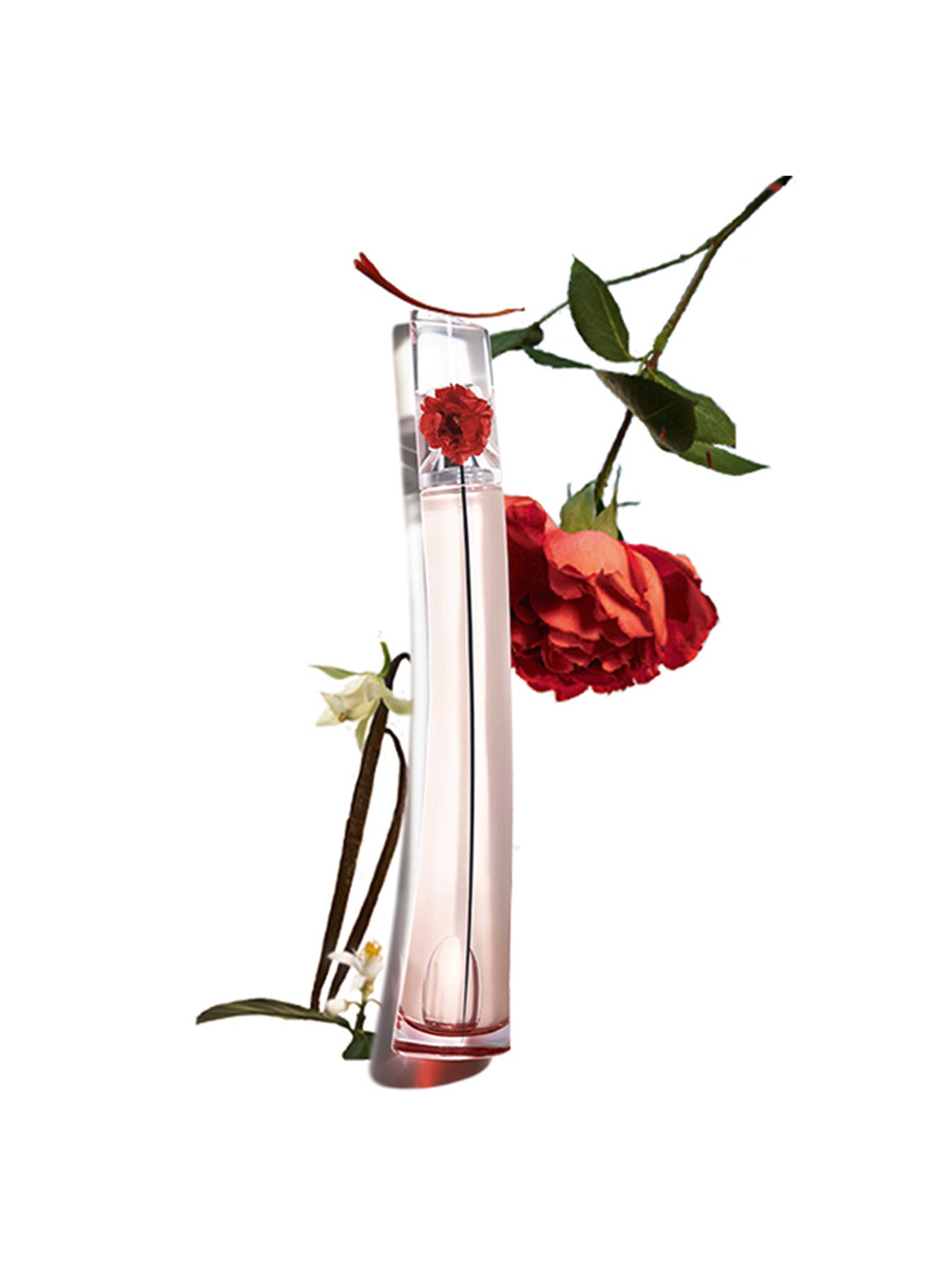 Flower By Kenzo L'Absolue Eau de Parfum 30ml