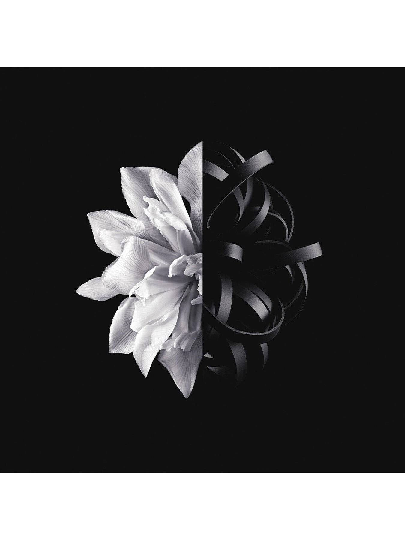 LInterdit 22 Eau de Toilette 35ml